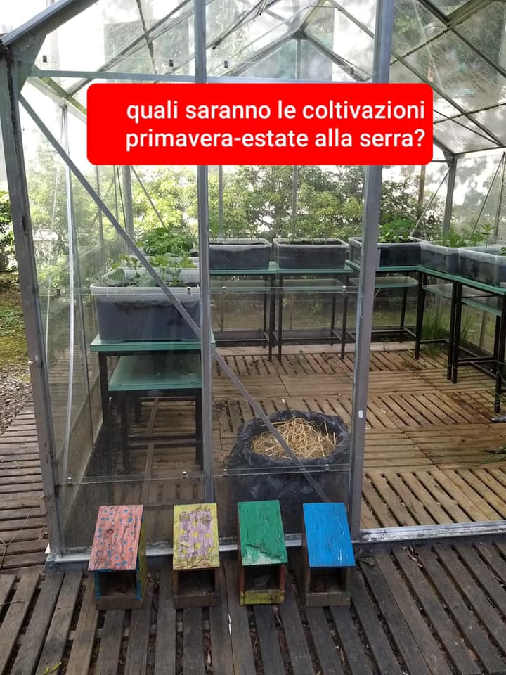 icp-monza-preziosine-10